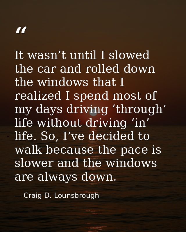 It wasn’t until I slowed the car and rolled down the windows that I realized I spend most of my days driving ‘through’ l — Craig D. Lounsbrough