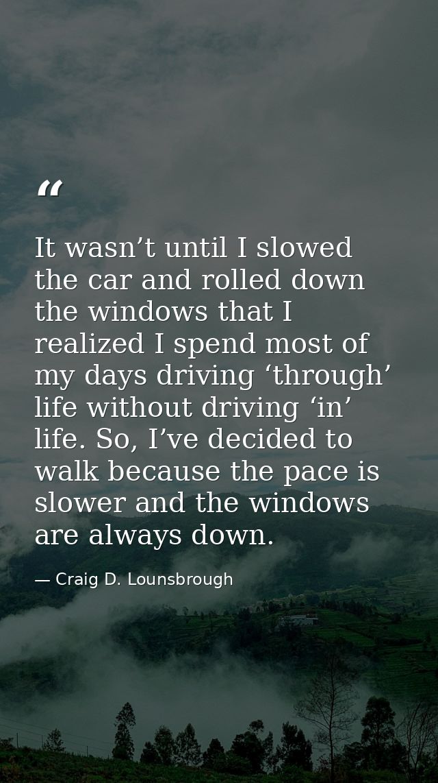 It wasn’t until I slowed the car and rolled down the windows that I realized I spend most of my days driving ‘through’ l — Craig D. Lounsbrough