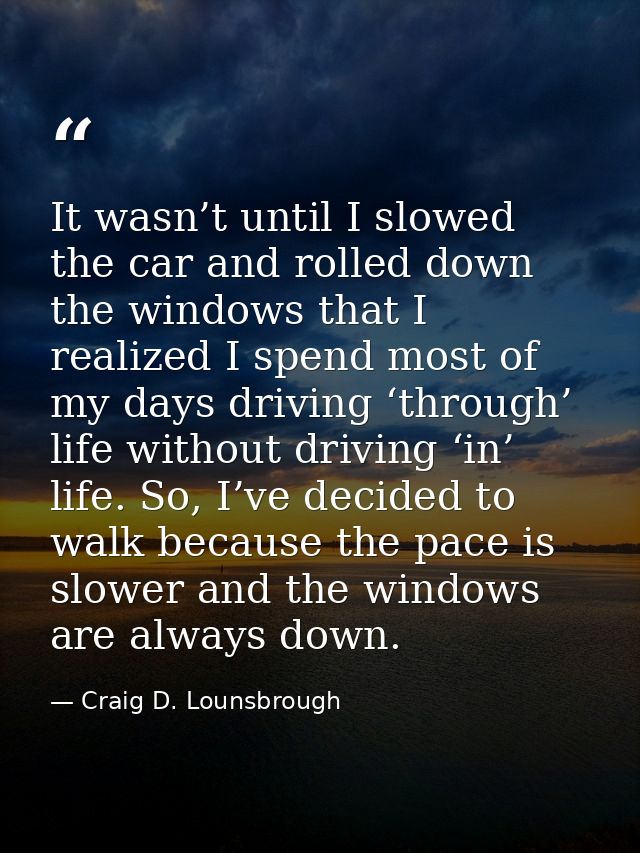It wasn’t until I slowed the car and rolled down the windows that I realized I spend most of my days driving ‘through’ l — Craig D. Lounsbrough