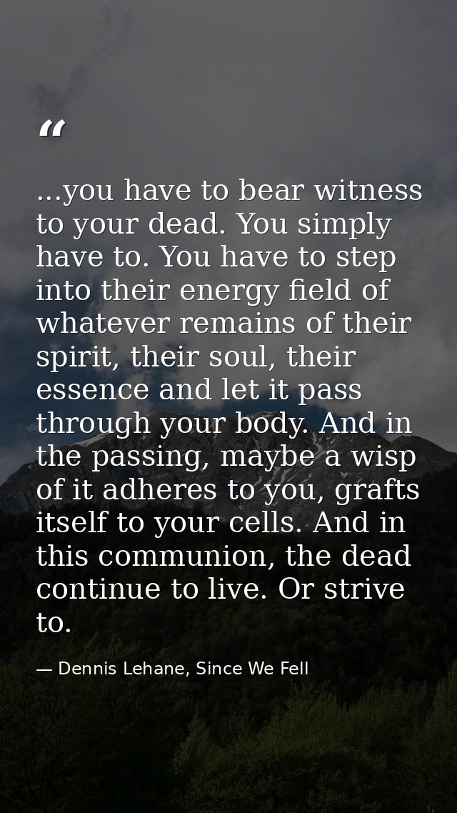 ...you have to bear witness to your dead. You simply have to. You have to step into their energy field of whatever remai — Dennis Lehane, Since We Fell
