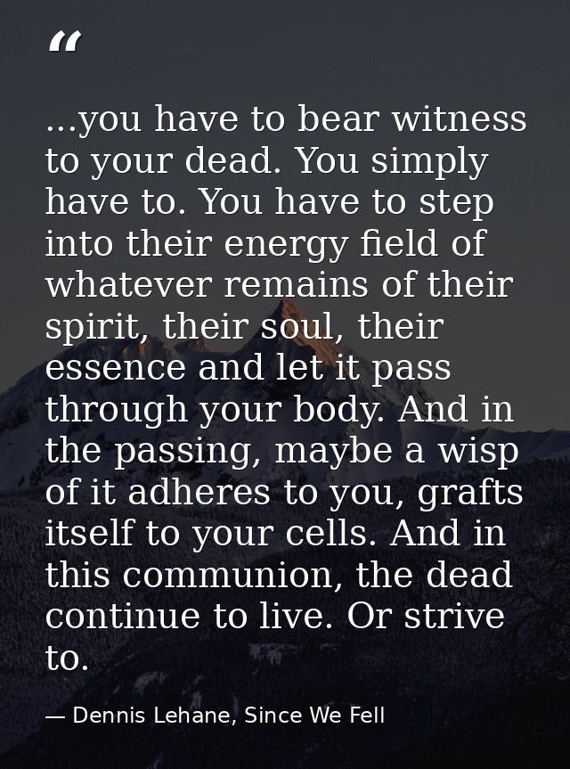 ...you have to bear witness to your dead. You simply have to. You have to step into their energy field of whatever remai — Dennis Lehane, Since We Fell
