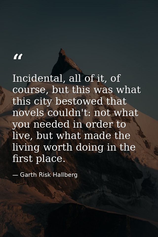 Incidental, all of it, of course, but this was what this city bestowed that novels couldn't: not what you needed in orde — Garth Risk Hallberg