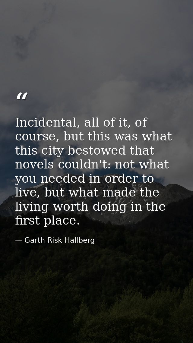 Incidental, all of it, of course, but this was what this city bestowed that novels couldn't: not what you needed in orde — Garth Risk Hallberg
