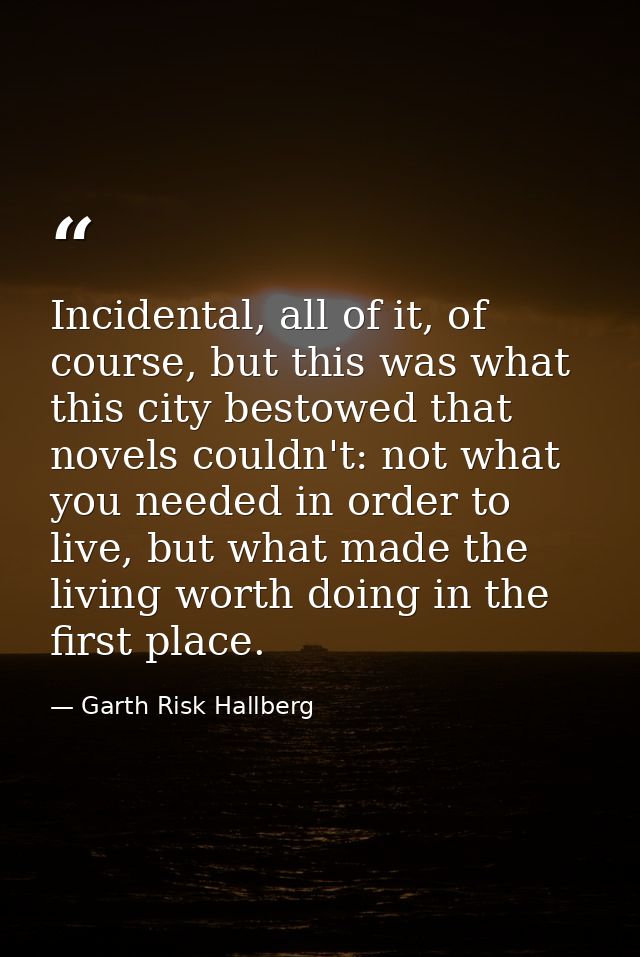 Incidental, all of it, of course, but this was what this city bestowed that novels couldn't: not what you needed in orde — Garth Risk Hallberg