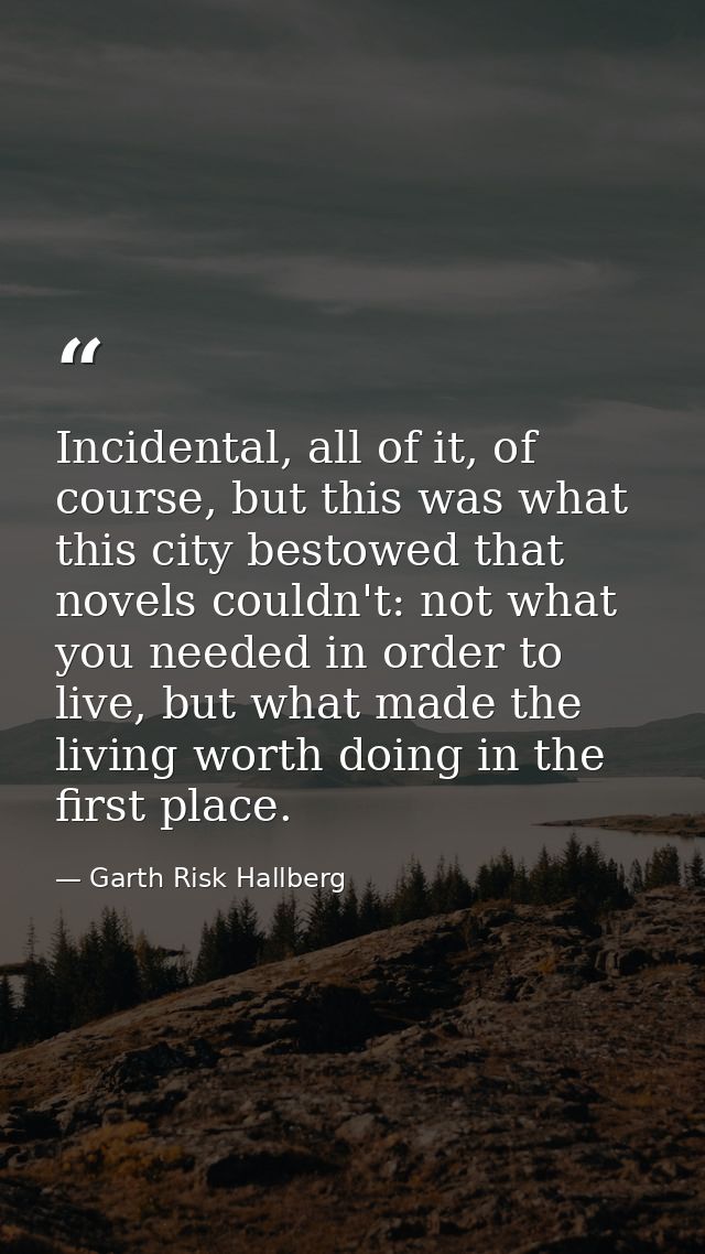 Incidental, all of it, of course, but this was what this city bestowed that novels couldn't: not what you needed in orde — Garth Risk Hallberg