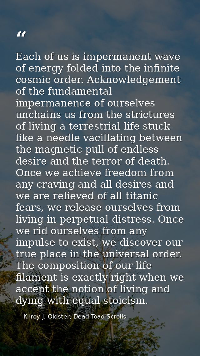 Each of us is impermanent wave of energy folded into the infinite cosmic order. Acknowledgement of the fundamental imper — Kilroy J. Oldster, Dead Toad Scrolls