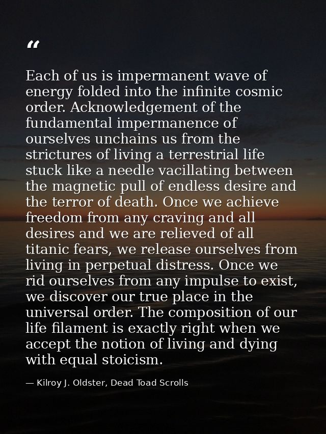 Each of us is impermanent wave of energy folded into the infinite cosmic order. Acknowledgement of the fundamental imper — Kilroy J. Oldster, Dead Toad Scrolls