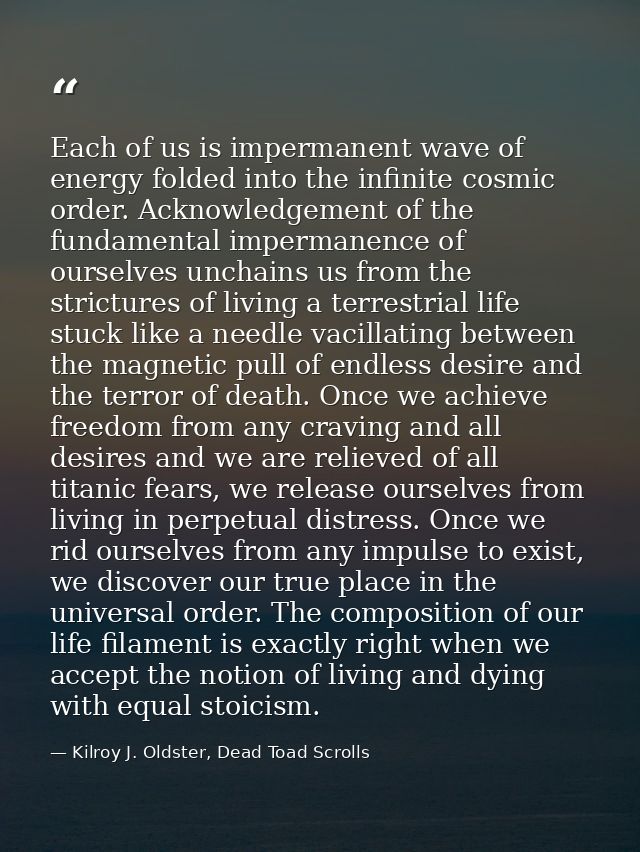 Each of us is impermanent wave of energy folded into the infinite cosmic order. Acknowledgement of the fundamental imper — Kilroy J. Oldster, Dead Toad Scrolls