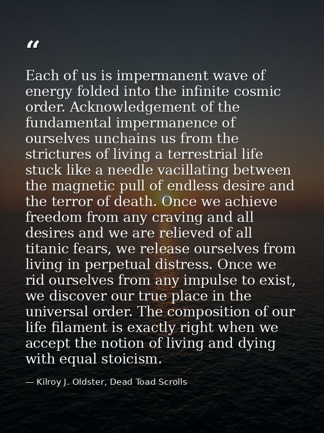 Each of us is impermanent wave of energy folded into the infinite cosmic order. Acknowledgement of the fundamental imper — Kilroy J. Oldster, Dead Toad Scrolls