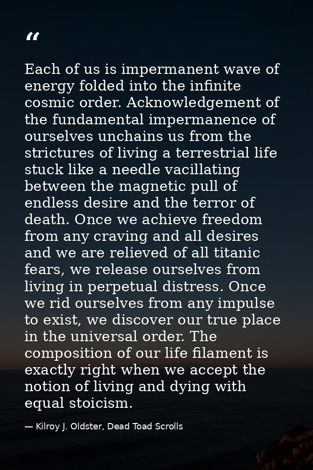 Each of us is impermanent wave of energy folded into the infinite cosmic order. Acknowledgement of the fundamental imper — Kilroy J. Oldster, Dead Toad Scrolls