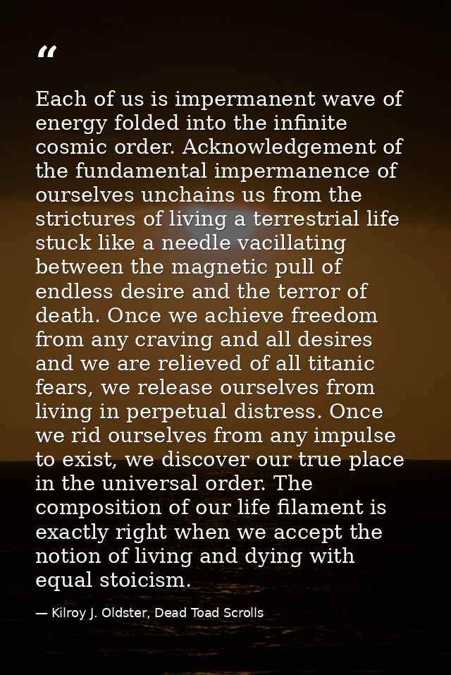 Each of us is impermanent wave of energy folded into the infinite cosmic order. Acknowledgement of the fundamental imper — Kilroy J. Oldster, Dead Toad Scrolls