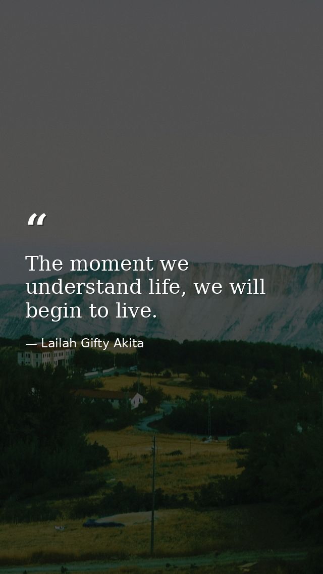 The moment we understand life, we will begin to live. — Lailah Gifty Akita