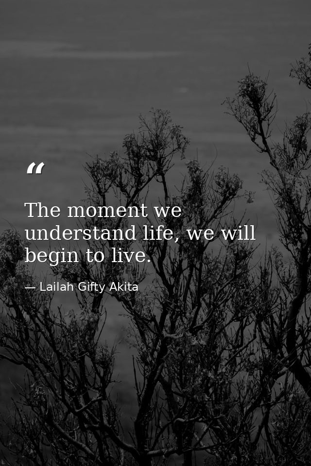 The moment we understand life, we will begin to live. — Lailah Gifty Akita