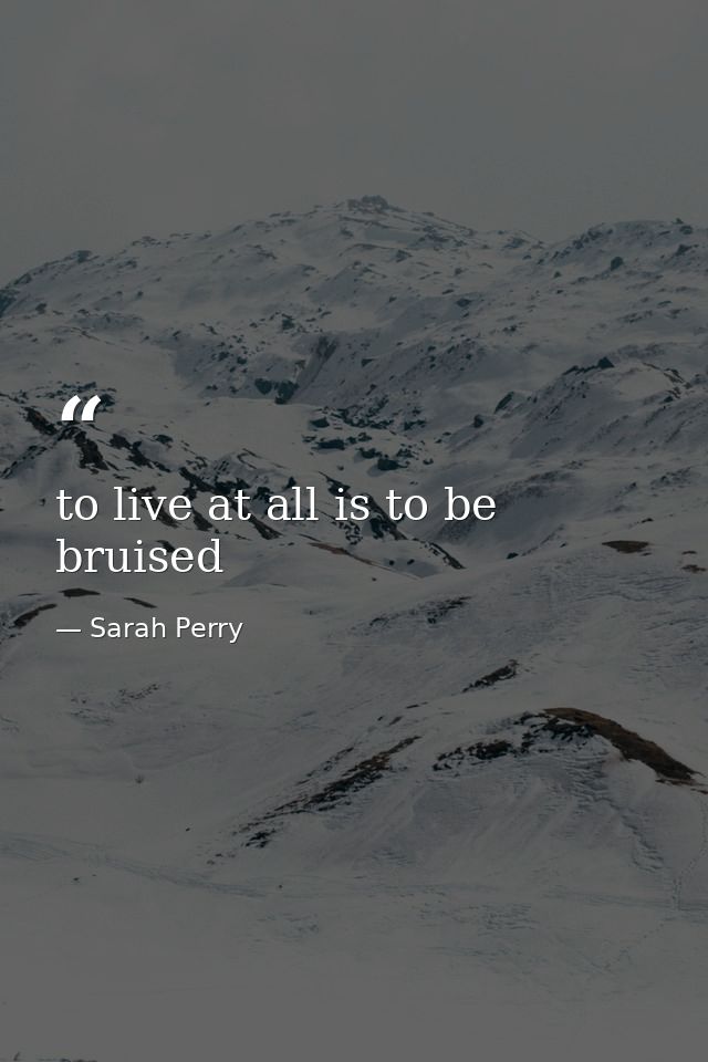 to live at all is to be bruised — Sarah Perry