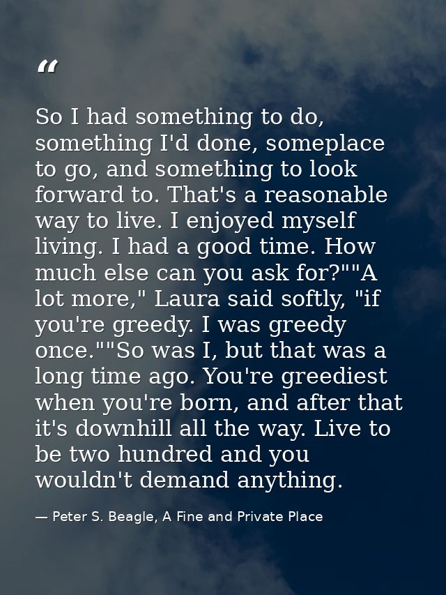 So I had something to do, something I'd done, someplace to go, and something to look forward to. That's a reasonable way — Peter S. Beagle, A Fine and Private Place