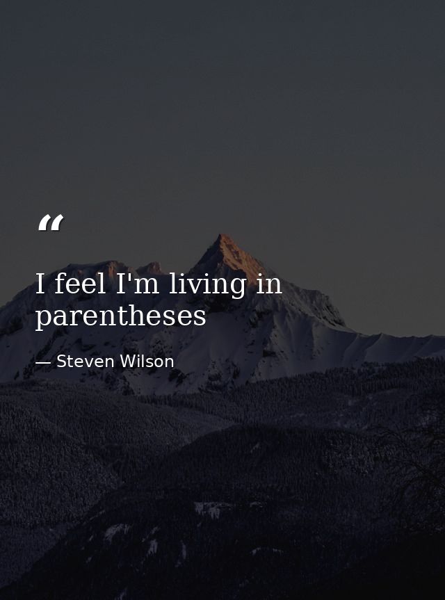 I feel I'm living in parentheses — Steven Wilson