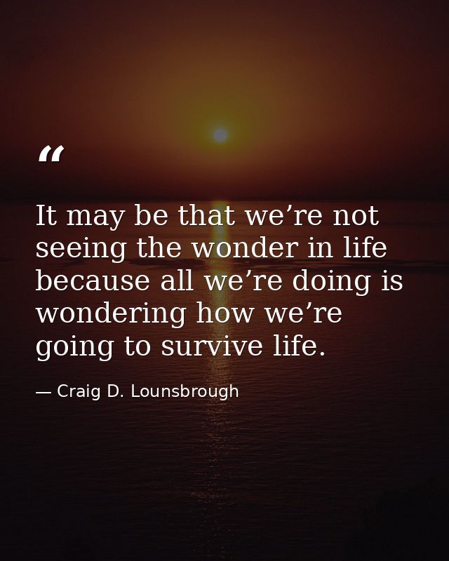 It may be that we’re not seeing the wonder in life because all we’re doing is wondering how we’re going to survive life. — Craig D. Lounsbrough