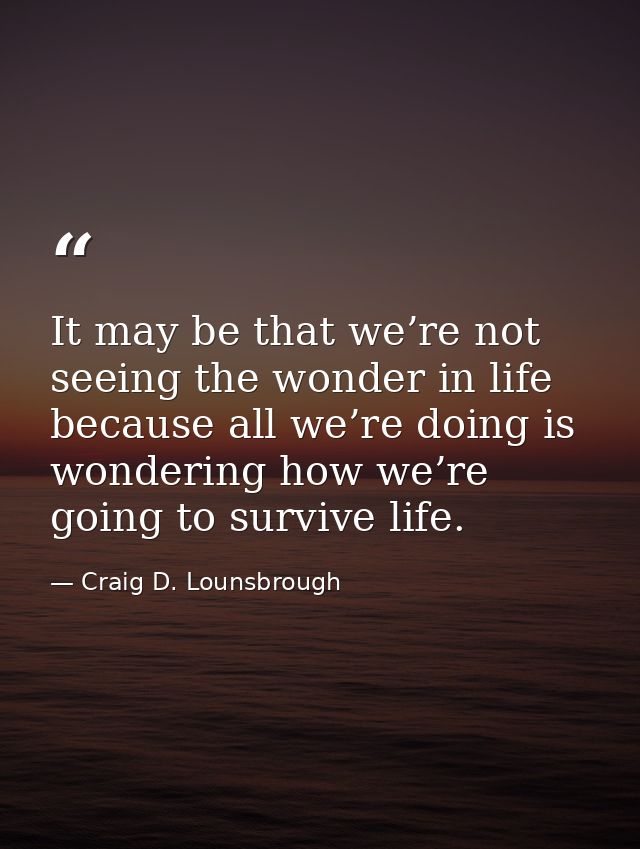 It may be that we’re not seeing the wonder in life because all we’re doing is wondering how we’re going to survive life. — Craig D. Lounsbrough
