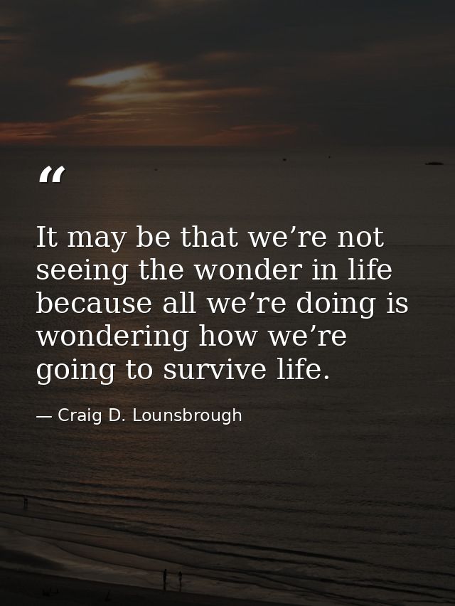 It may be that we’re not seeing the wonder in life because all we’re doing is wondering how we’re going to survive life. — Craig D. Lounsbrough