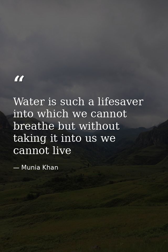 Water is such a lifesaver into which we cannot breathe but without taking it into us we cannot live — Munia Khan