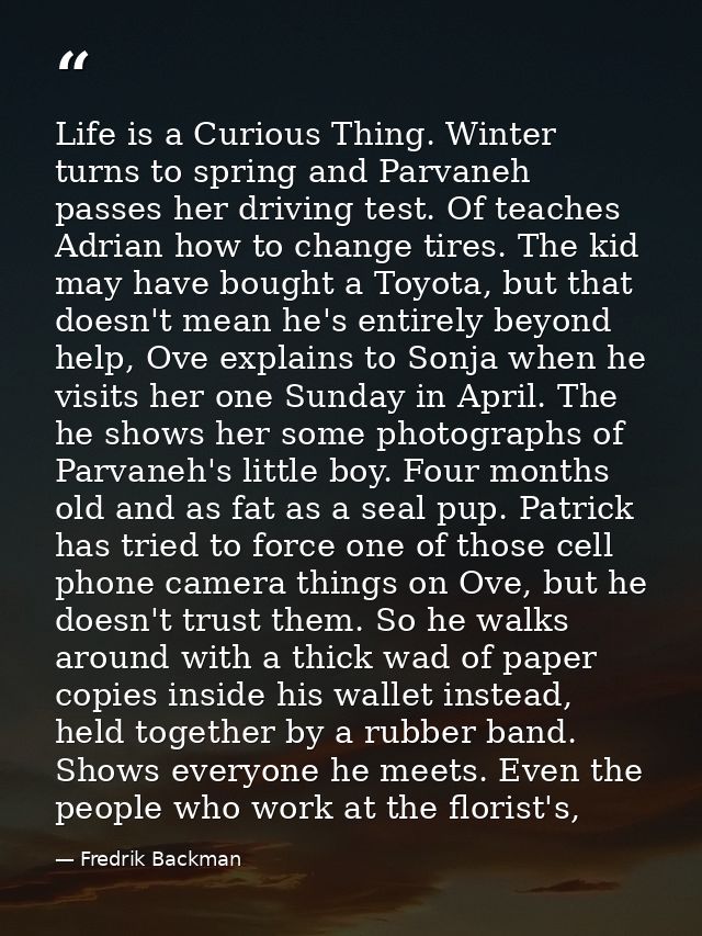 Life is a Curious Thing. Winter turns to spring and Parvaneh passes her driving test. Of teaches Adrian how to change ti — Fredrik Backman