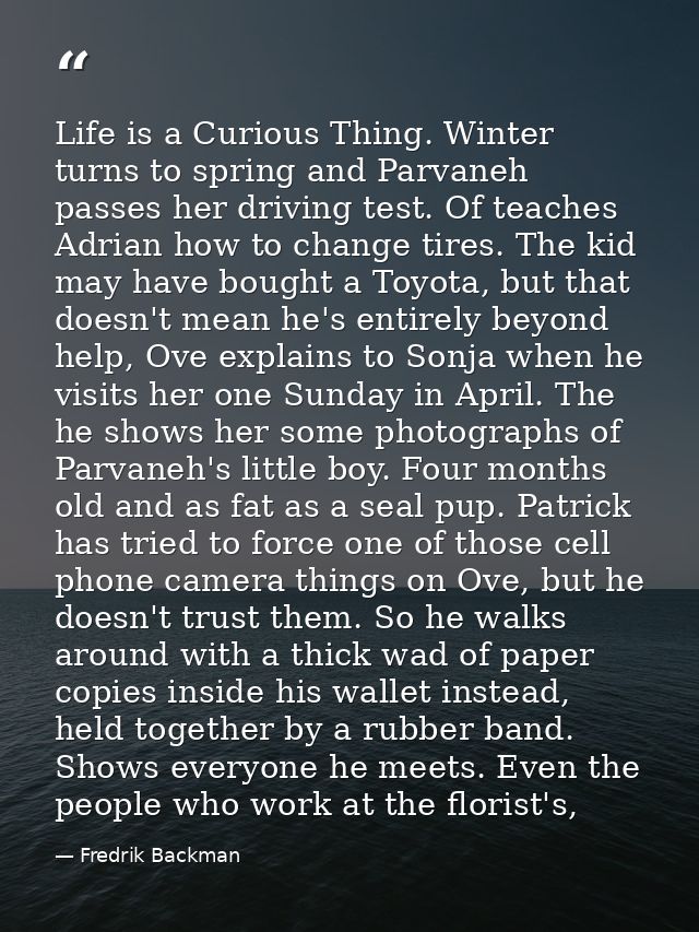 Life is a Curious Thing. Winter turns to spring and Parvaneh passes her driving test. Of teaches Adrian how to change ti — Fredrik Backman