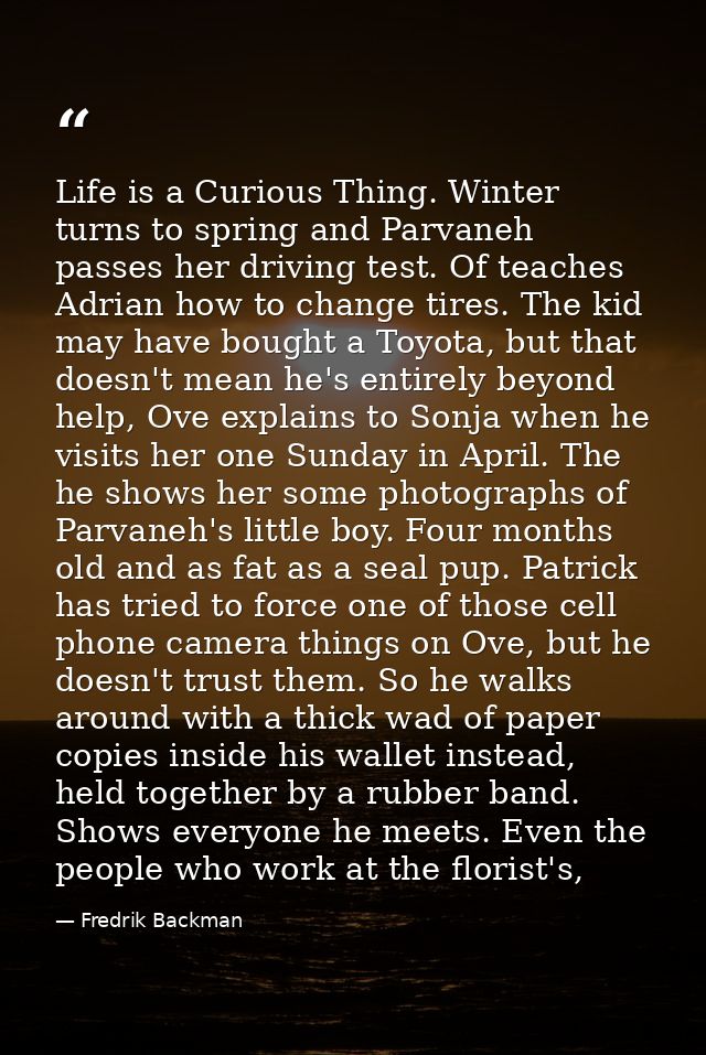 Life is a Curious Thing. Winter turns to spring and Parvaneh passes her driving test. Of teaches Adrian how to change ti — Fredrik Backman