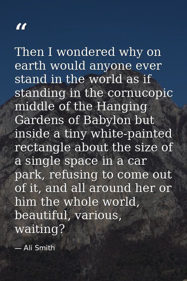 Then I wondered why on earth would anyone ever stand in the world as if standing in the cornucopic middle of the Hanging — Ali Smith