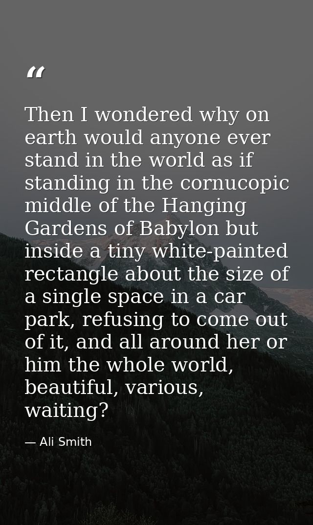 Then I wondered why on earth would anyone ever stand in the world as if standing in the cornucopic middle of the Hanging — Ali Smith