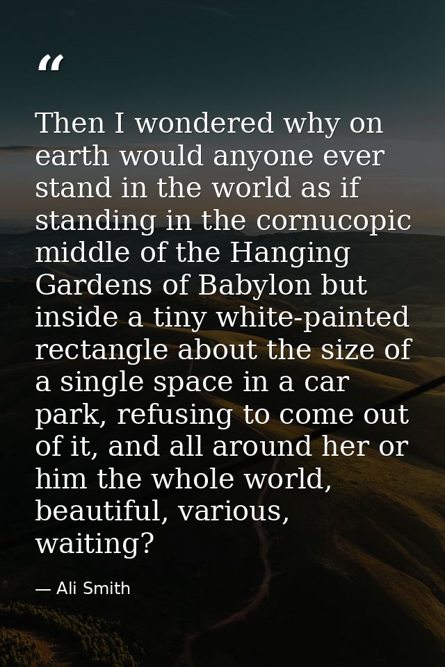 Then I wondered why on earth would anyone ever stand in the world as if standing in the cornucopic middle of the Hanging — Ali Smith