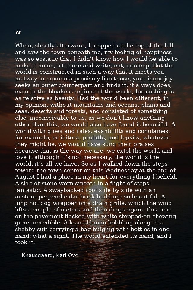 When, shortly afterward, I stopped at the top of the hill and saw the town beneath me, my feeling of happiness was so ec — Knausgaard, Karl Ove