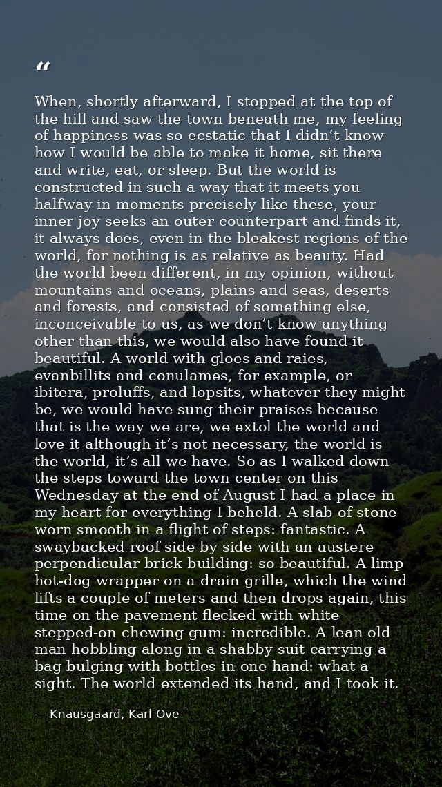 When, shortly afterward, I stopped at the top of the hill and saw the town beneath me, my feeling of happiness was so ec — Knausgaard, Karl Ove