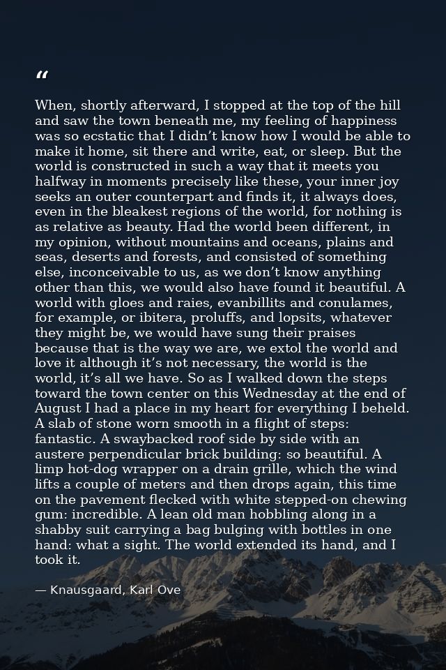 When, shortly afterward, I stopped at the top of the hill and saw the town beneath me, my feeling of happiness was so ec — Knausgaard, Karl Ove