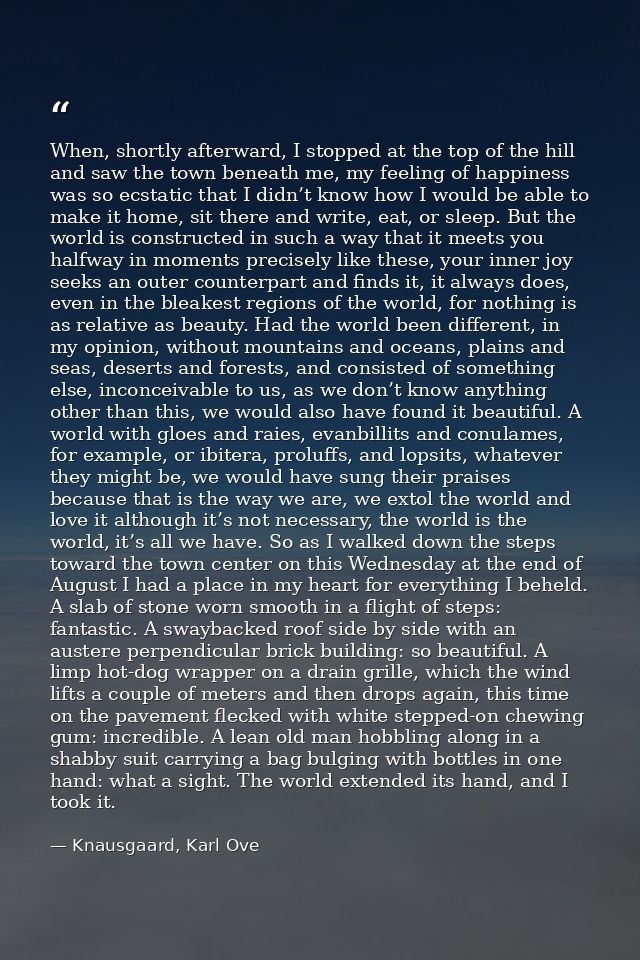 When, shortly afterward, I stopped at the top of the hill and saw the town beneath me, my feeling of happiness was so ec — Knausgaard, Karl Ove