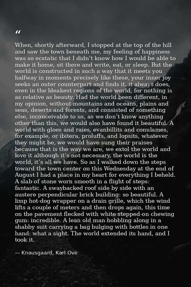 When, shortly afterward, I stopped at the top of the hill and saw the town beneath me, my feeling of happiness was so ec — Knausgaard, Karl Ove