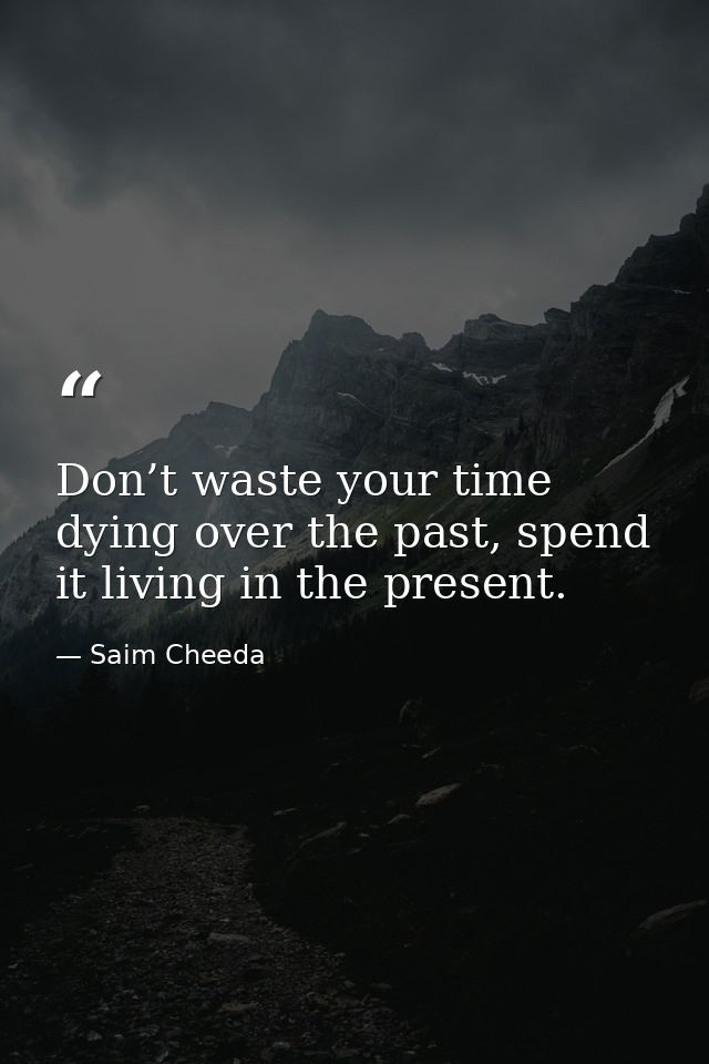 Don’t waste your time dying over the past, spend it living in the present. — Saim Cheeda