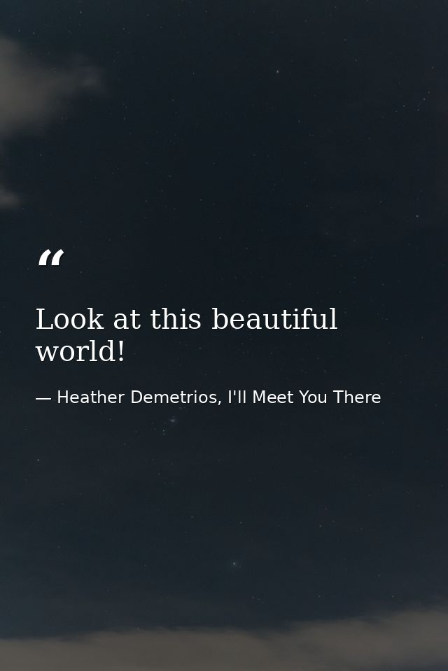 Look at this beautiful world! — Heather Demetrios, I'll Meet You There