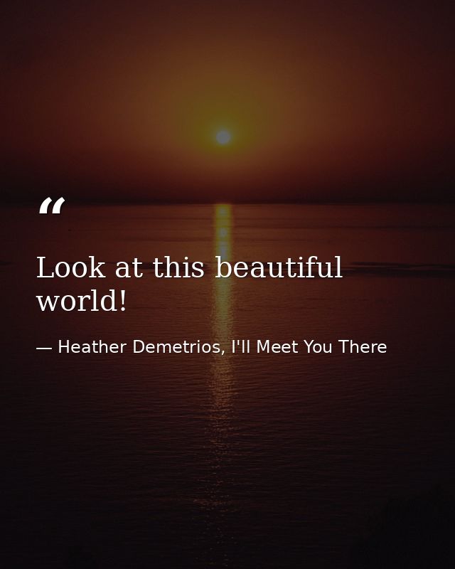 Look at this beautiful world! — Heather Demetrios, I'll Meet You There