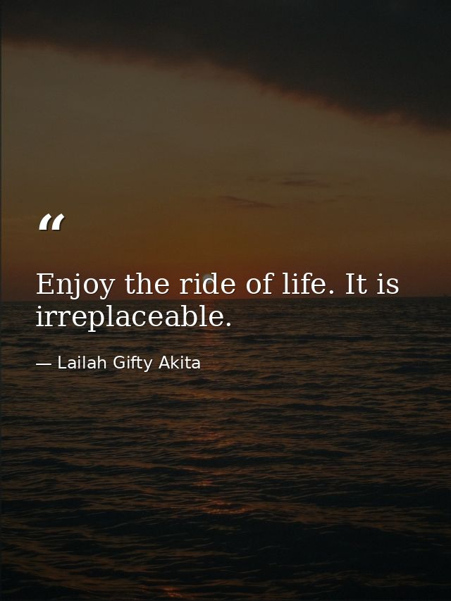 Enjoy the ride of life. It is irreplaceable. — Lailah Gifty Akita