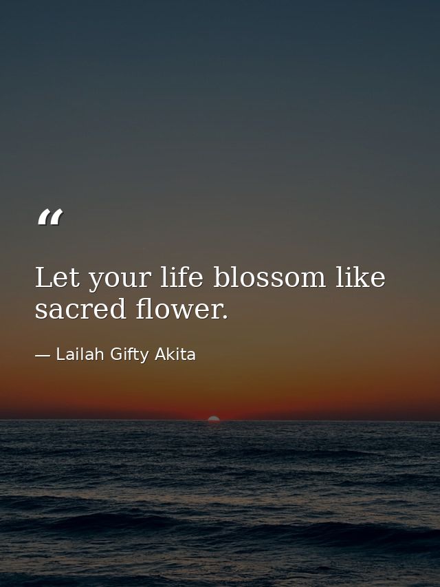 Let your life blossom like sacred flower. — Lailah Gifty Akita