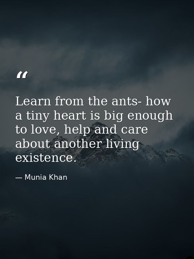 Learn from the ants- how a tiny heart is big enough to love, help and care about another living existence. — Munia Khan