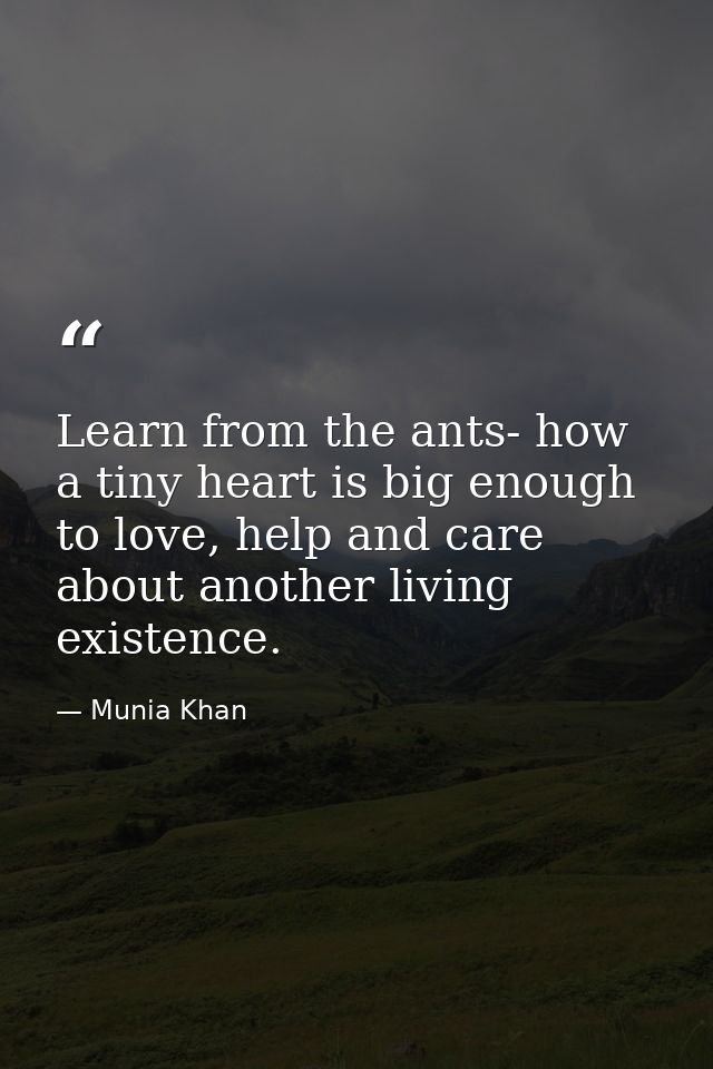 Learn from the ants- how a tiny heart is big enough to love, help and care about another living existence. — Munia Khan