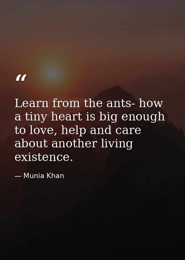 Learn from the ants- how a tiny heart is big enough to love, help and care about another living existence. — Munia Khan
