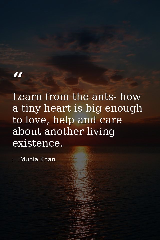 Learn from the ants- how a tiny heart is big enough to love, help and care about another living existence. — Munia Khan