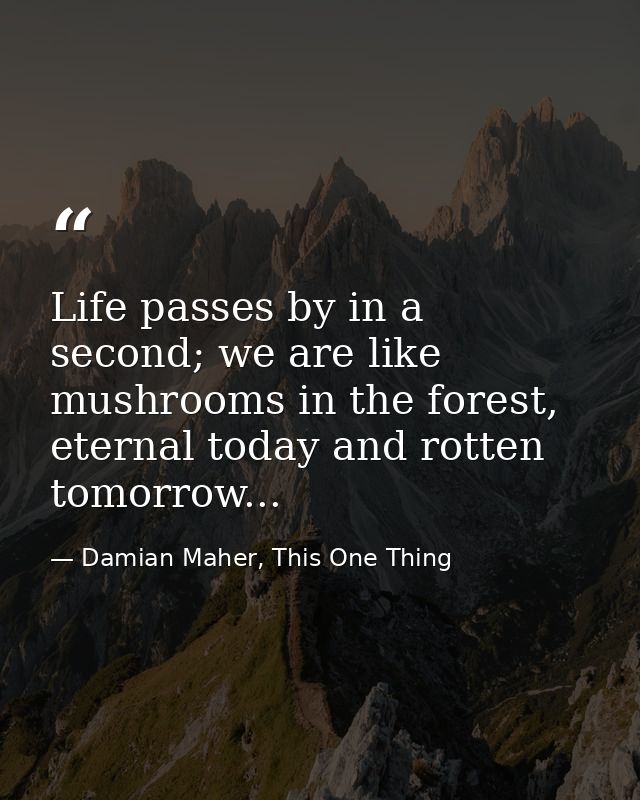 Life passes by in a second; we are like mushrooms in the forest, eternal today and rotten tomorrow... — Damian Maher, This One Thing