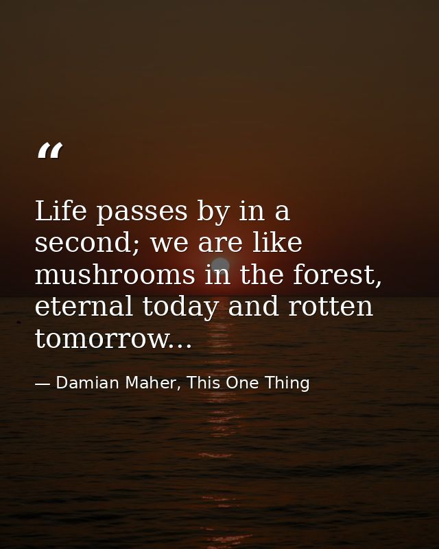 Life passes by in a second; we are like mushrooms in the forest, eternal today and rotten tomorrow... — Damian Maher, This One Thing