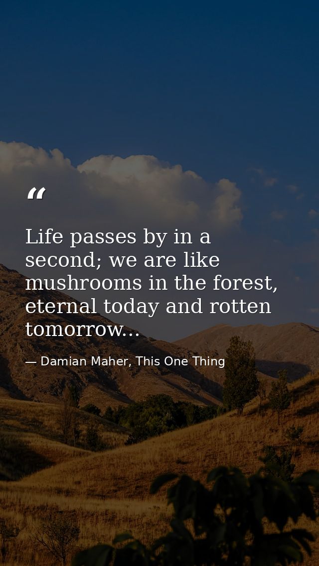 Life passes by in a second; we are like mushrooms in the forest, eternal today and rotten tomorrow... — Damian Maher, This One Thing