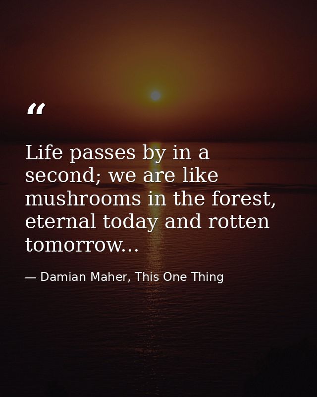 Life passes by in a second; we are like mushrooms in the forest, eternal today and rotten tomorrow... — Damian Maher, This One Thing