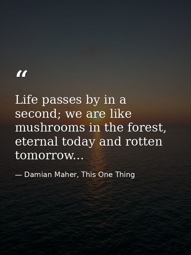 Life passes by in a second; we are like mushrooms in the forest, eternal today and rotten tomorrow... — Damian Maher, This One Thing