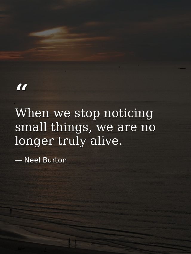 When we stop noticing small things, we are no longer truly alive. — Neel Burton